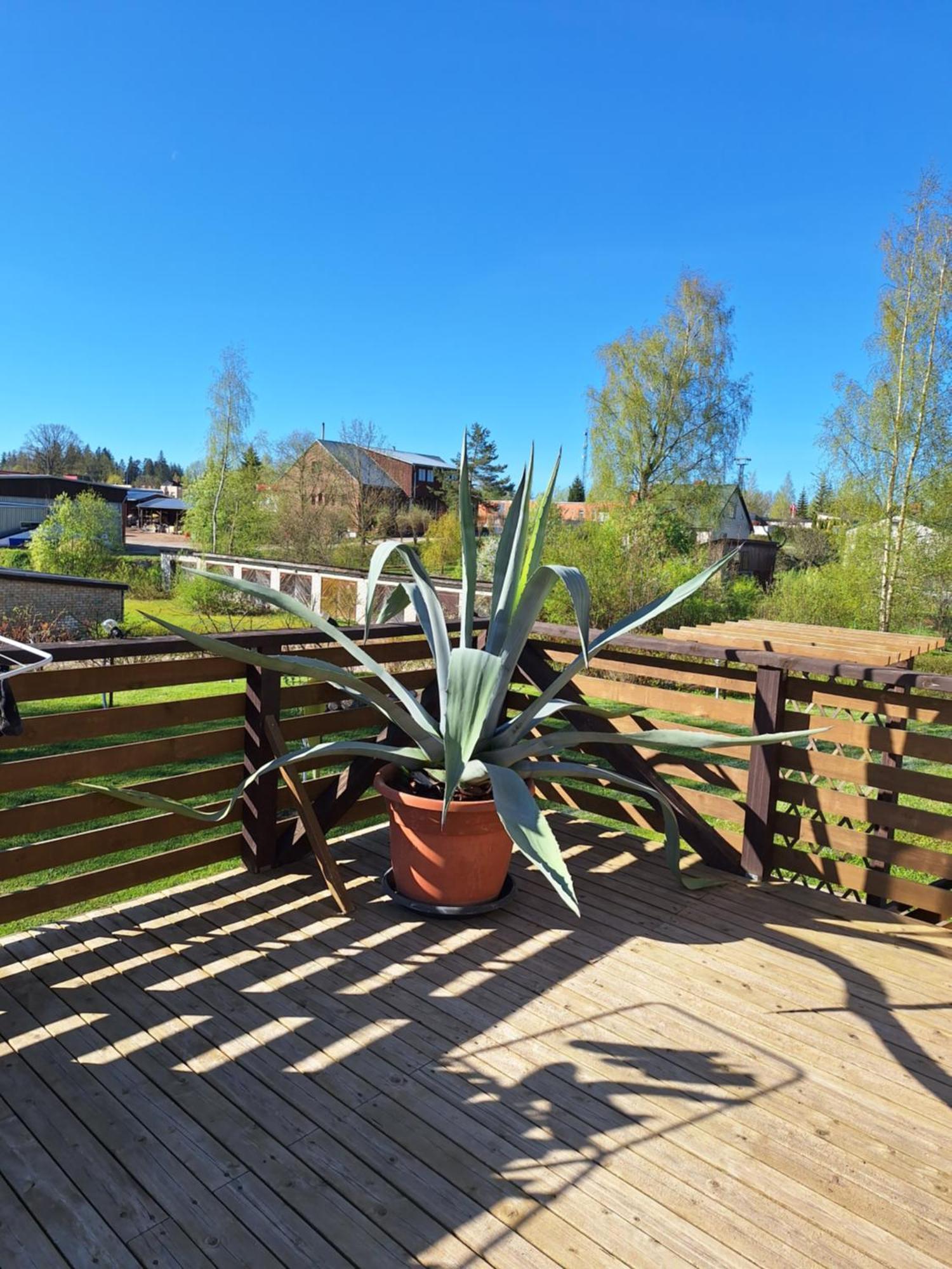 B&B Sandra Aluksne Bagian luar foto